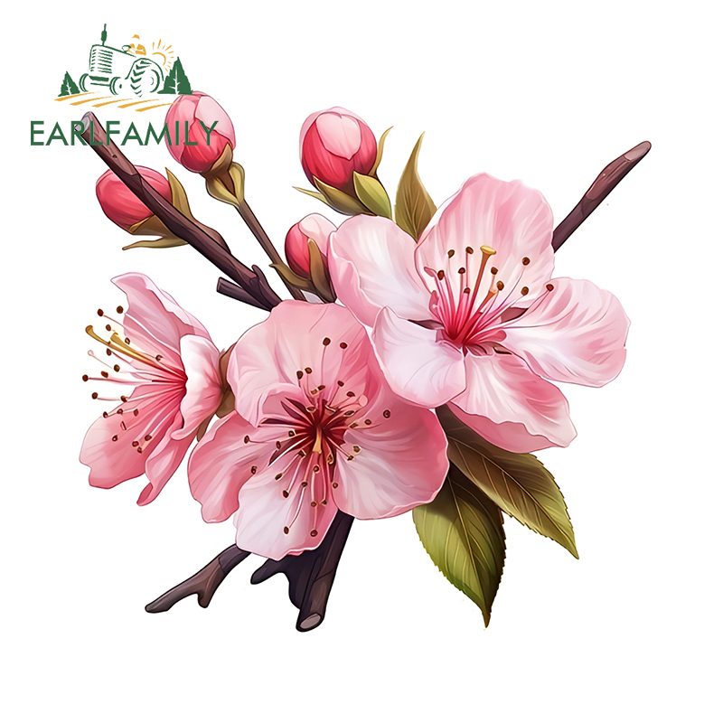 EARLFAMILY الوردي ساكورا الفنو - مراجعة Laptop Accessories Pink وسعره